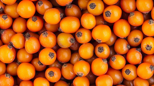 Die erstaunliche Wirkung von Sanddornsaft: Anwendung und Vorteile